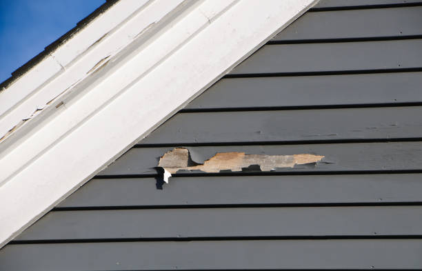 Storm Damage Siding Repair in Woodmere, LA